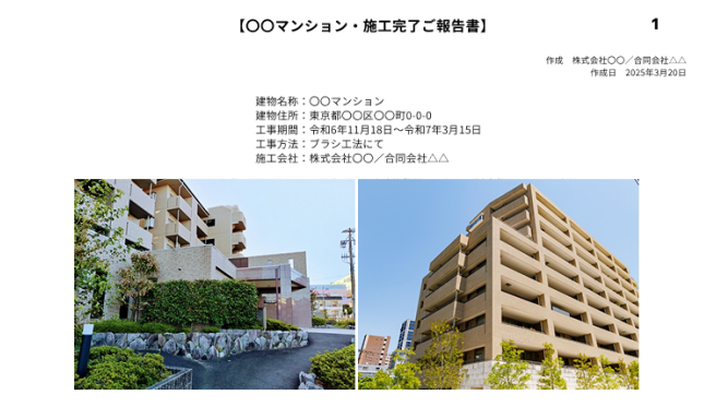 写真付きの明確な報告書